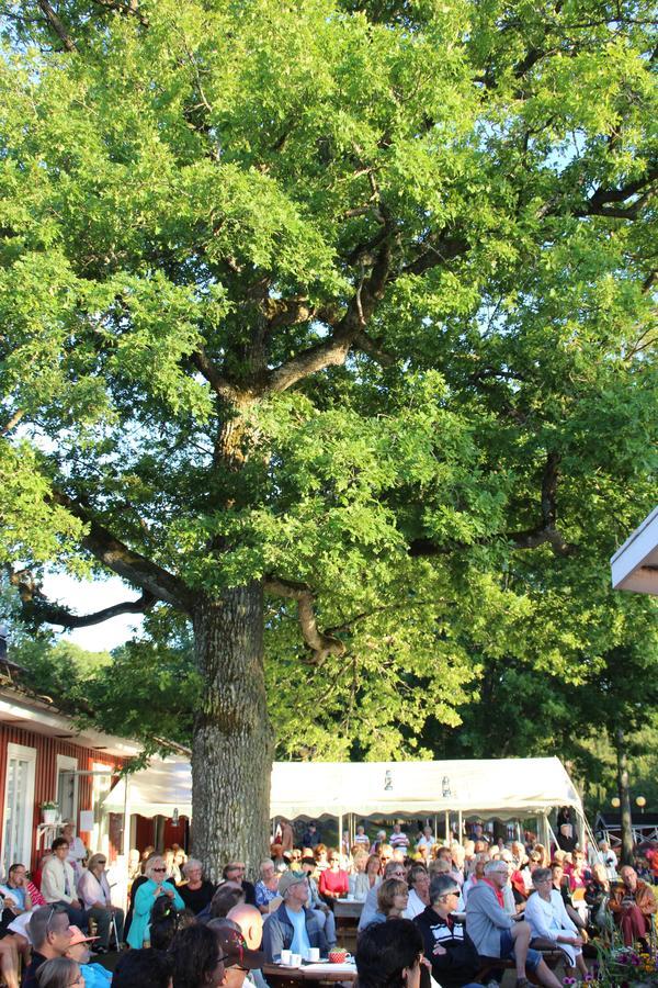 Eksjoe Camping & Konferens Dış mekan fotoğraf